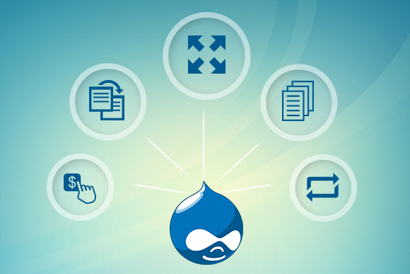 5 reasons why Drupal is popular for enterprise portal development