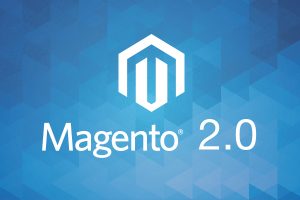 Magento Development