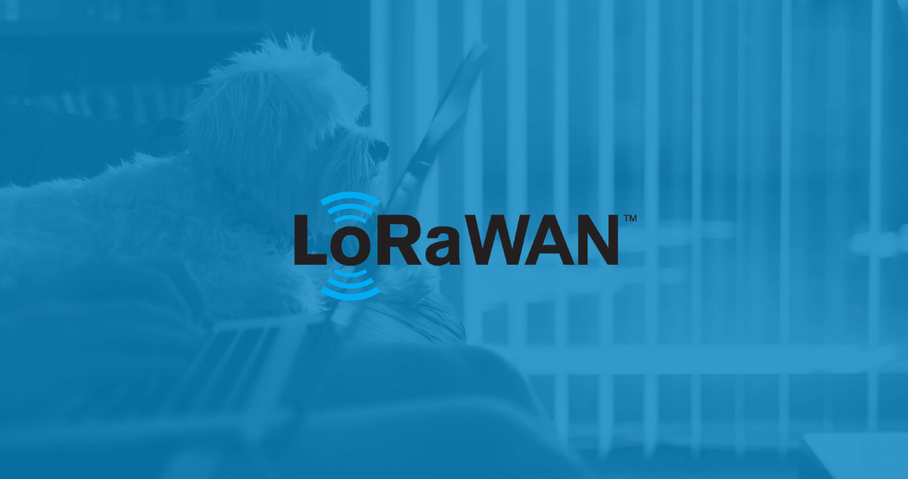 LoRawan