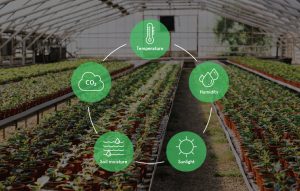 Greenhouse monitoring