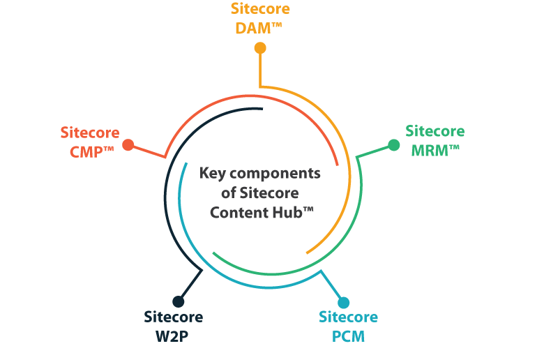 Sitecore capability