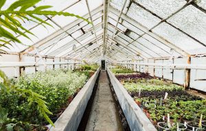 greenhouse-monitoring