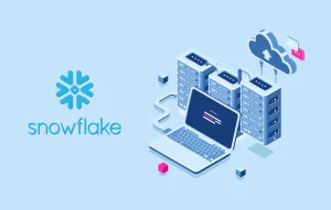 Snowflake consulting services