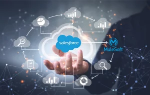 salesforce and Mulesoft integration